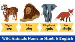 wild animals name in english